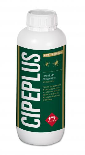 Cipeplus