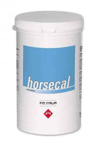 Horsecal