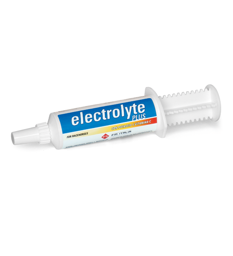 Electrolyte plus