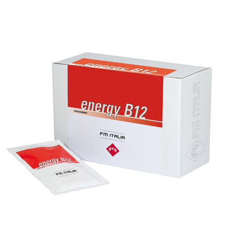 Energy B12