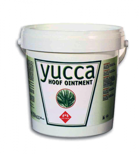 Yucca hoof ointment